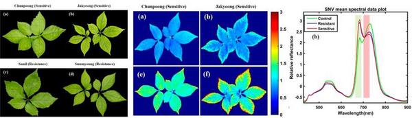 【免费样品测试，欢迎实验合作】FluorTron多功能高光谱成像分析系统