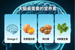 高考沖刺期如何科學(xué)補腦？營養(yǎng)專家推薦六個核桃