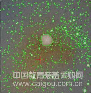饲料细菌总数检测中全自动菌落计数仪的应用
