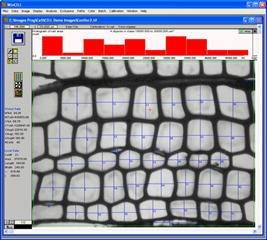 WinCELL树木细胞图像分析系统