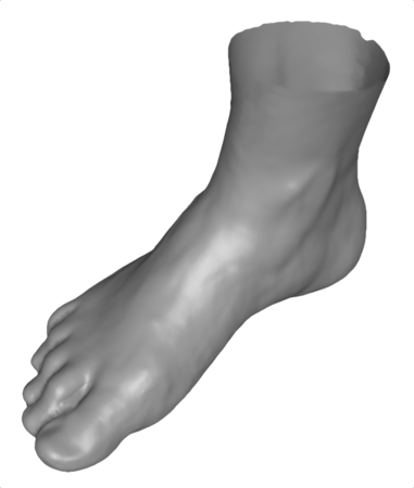 Human Solutions足部3D三维扫描仪