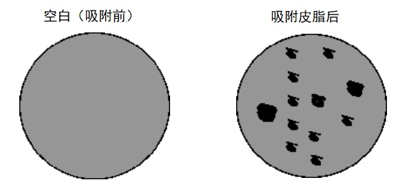 皮膚油脂測試條